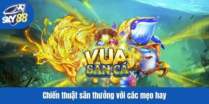 Chiến thuật săn thưởng với các mẹo hay
