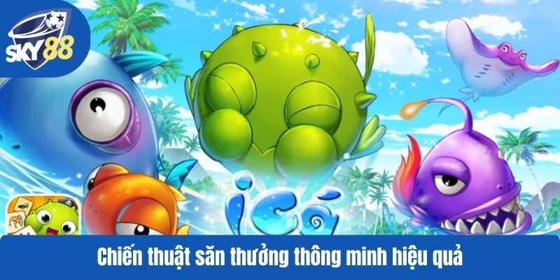 Chiến thuật săn thưởng thông minh hiệu quả