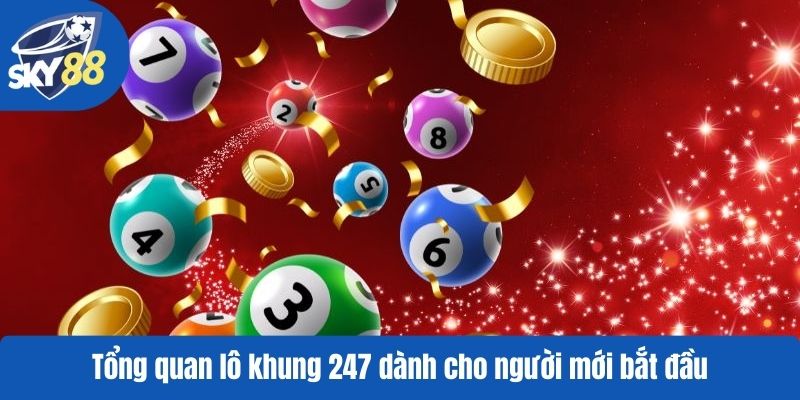 Tổng quan lô khung 247 dành cho người mới bắt đầu
