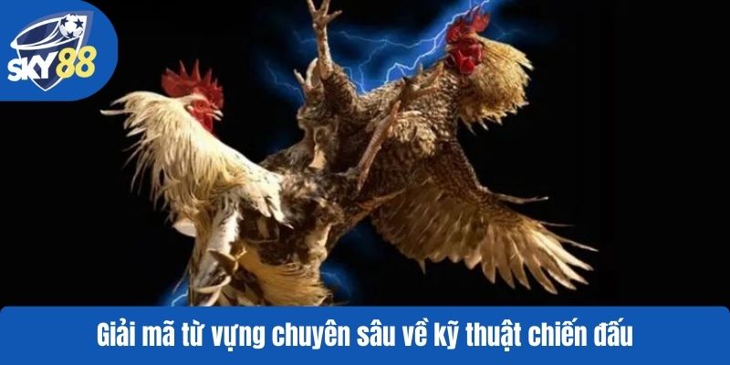 Giải mã từ vựng chuyên sâu về kỹ thuật chiến đấu