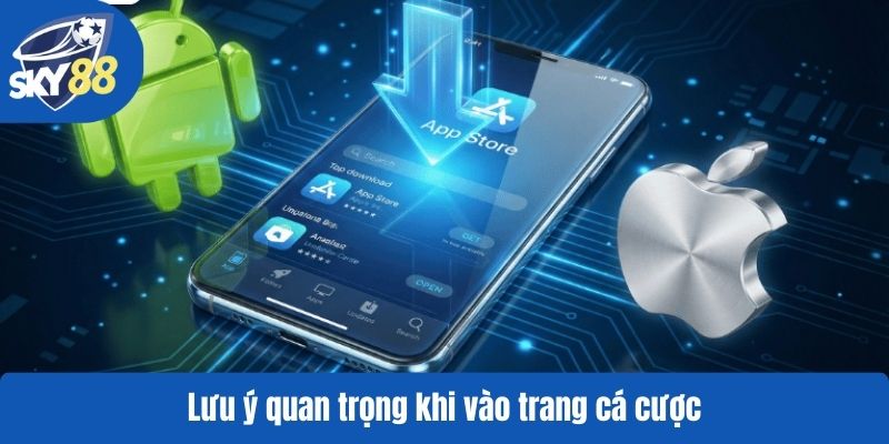 Lưu ý quan trọng khi vào trang cá cược